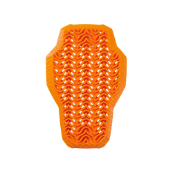 Dorsale interne RST x D3O...