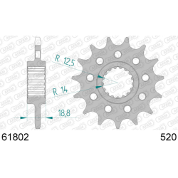 Pignon AFAM acier type...