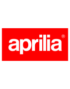 Boucles arrière racing - Aprilia