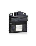 ECU (Electronic Control Unit)